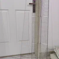 ابچکان کاملا سالم تمیز