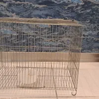 قفس پرنده