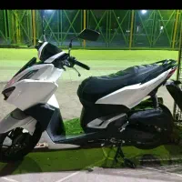 موتور کلیک 403 بی رنگ به شرط چاقو