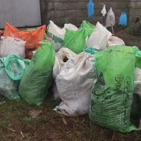 کود خشک گاو