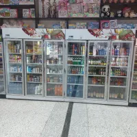 یخچال ایستاده ارگ