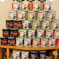 کنسرو 800گرمی گربه شایر و کوکو رویال قیمت خوب