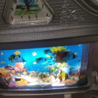 چراغ خواب و ساعت برقی با باتری هم کار میکنه