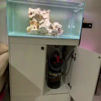 آکواریوم apa ریملس|ماهی|قرچک, شهرک طلائیه|دیوار