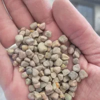 خوراک پرندگان به صورت عمده|لوازم جانبی حیوانات|اصفهان, قهجاورستان|دیوار