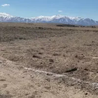 زمین کشاورزی