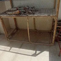 قفس کبوتر و مرغ