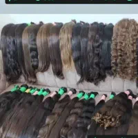 صادر کننده اصلی گیس بانوان