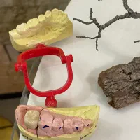 استخدام ویزیتور حضوری (خانم)