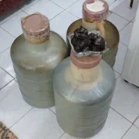 سیر ترشی 11 ساله