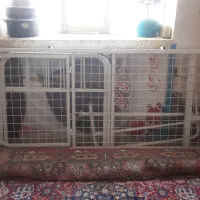 تخت بیمارستانی