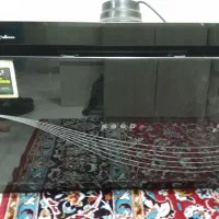 هودداتیس