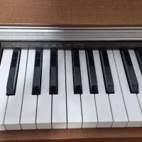 پیانو دیجیتال کاسیو px720c|پیانو، کیبورد، آکاردئون|اصفهان, شهرک کاوه|دیوار