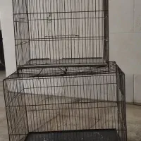 قفس پرنده