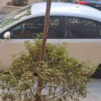 آریو مدل ۹۶ بدون رنگ سالم|خودرو سواری و وانت|کرج, فاز ۴ مهرشهر|دیوار