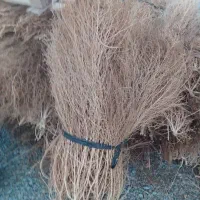 فروش گسکی شاری|لوازم نظافت|سقز, |دیوار