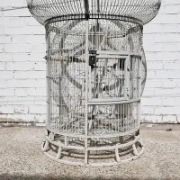 قفس پرنده با بهترین قیمت