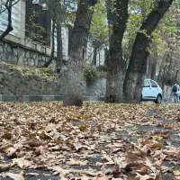 خانه ویلا ۳۰۰۰ متر مخصوص رستوران /نیاوران