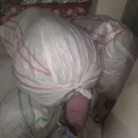 کیف مدارسی|کیف، کفش، کمربند|یاسوج, |دیوار