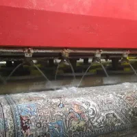 نیرو کارگر در قالیشویی