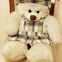 2 تا عروسک در حدنو