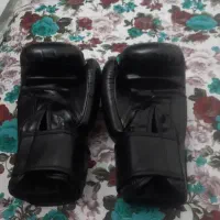 با ۵ جفت کفتر تاق میزنم