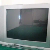 تلویزیون