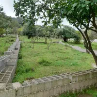 فروش زمین مسکونی پلاک صفرجنگل وپلاک 2جاده اصلی|فروش زمین و ملک کلنگی|ماکلوان, |دیوار