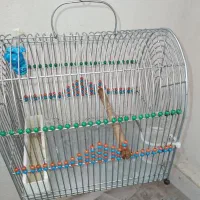قفس سهره|لوازم جانبی حیوانات|شاهین‌شهر, مسکن مهر|دیوار