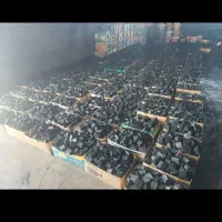 زغال مورت بید کویتی قلیونی کبابی