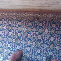 قالی کوردی