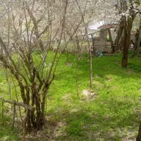 اجاره-سالیانه500مترویلایی-دربست-طالقان