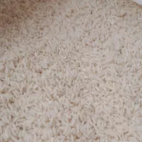 هاشمی   ۲۷کیلو تازه کوبیده از دست کشاورز|خوردنی و آشامیدنی|رشت, پل تالشان|دیوار
