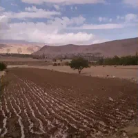 زمین کشاورزی مناسب برای باغ