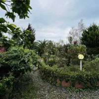 ویلا باغ همه چی تمومه/خونه مادر بزرگه اینجاست|فروش خانه و ویلا|چمستان, |دیوار