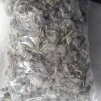 زیره کوهی وآنوخ یا چای کوهی و آویشن از کوهای بینال|گل و گیاه طبیعی|مشهد, شهرک ابوذر|دیوار