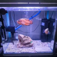 اکواریوم ۷۰ لیتری فول