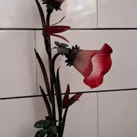 آباژور سالم