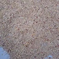 لوبیاچیتی محلی امساله تمیز|خوردنی و آشامیدنی|خان ببین, |دیوار