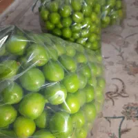 آلوچه (گوجه سبز) باغی،همون برقوتی قیمت اقتصادی