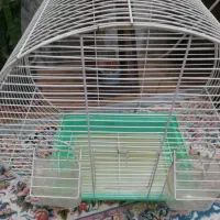 قفس عروس و کوتوله|لوازم جانبی حیوانات|قم, انصارالحسین|دیوار