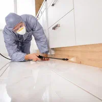 شستشوی مبل و مبلمان و تشک و سمپاشی|خدمات نظافت|همدان, |دیوار