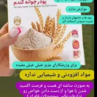 پودر جوانه گندم