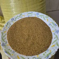 تخم ینجه درج یک ۷۰کیلو کیلو ۵۰۰