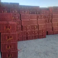 سبد 25 کیلویی گوجه