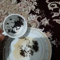 فال قهوه چای.بی پروا..تهران کرج مشهد‌.با تمرکزبالا|خدمات پذیرایی، مراسم|تهران, فردوس|دیوار