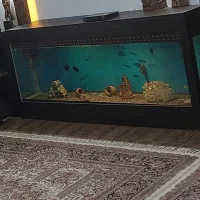 آکواریوم بزرگ