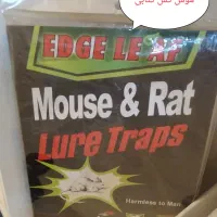 سم ضد موش کنه ساس کک سوسک مورچه موش چسب موش|مواد شوینده و دستمال کاغذی|ارومیه, |دیوار