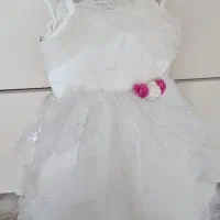 لباس عروس|لباس|محمدیه-قزوین, |دیوار