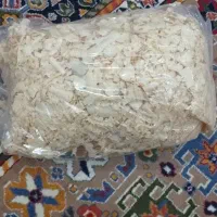 خرگوش|موش و خرگوش|رشت, باهنر|دیوار